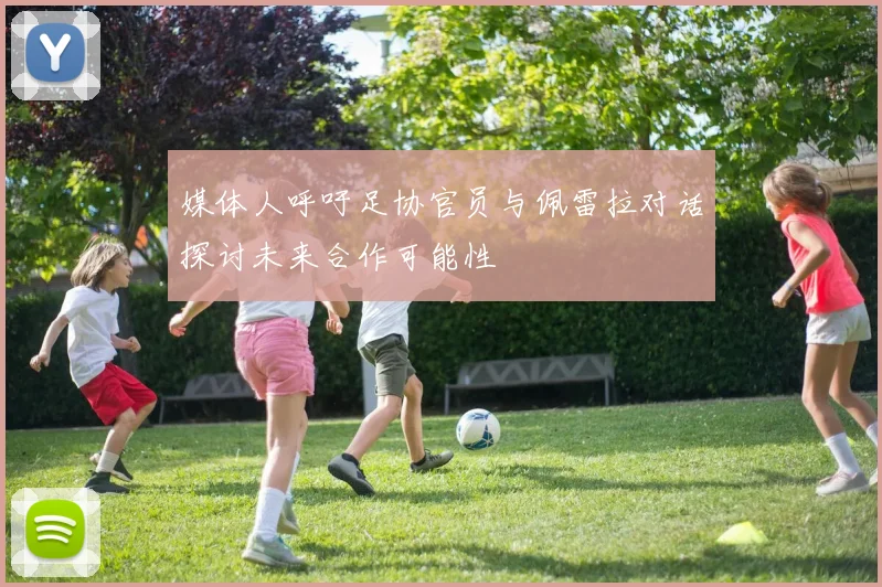 媒体人呼吁足协官员与佩雷拉对话探讨未来合作可能性