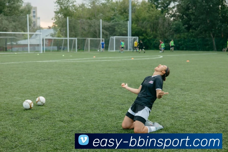 BBIN体育平台生态图